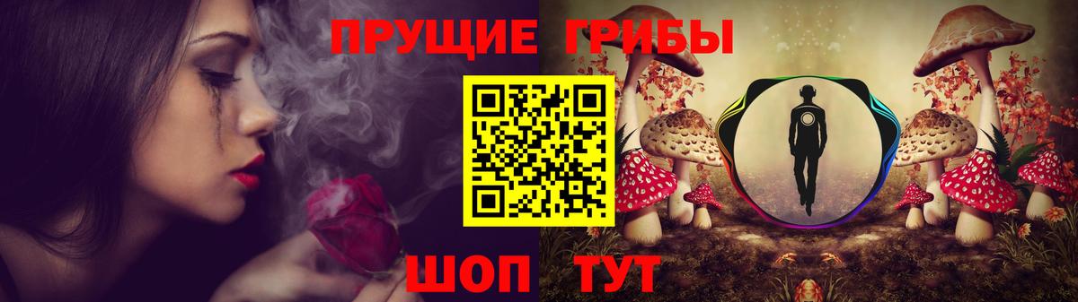 сколько стоит  Вход с VPN  Галлюциногенные грибы Psilocybe  Сосновоборск  Псилоцибиновые грибы прущие грибы 